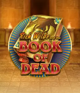 Начните захватывающий мир слота Book of Dead от Play'n GO, демонстрирующий яркую графику путешествия Рича Уайлда по древнеегипетским гробницам и артефактам. Откройте затерянные богатства с пленяющими механиками, такими как бесплатные вращения, расширяющиеся символы и возможность игры на риск. Идеально для любителей приключений, желающих раскопок секретов.